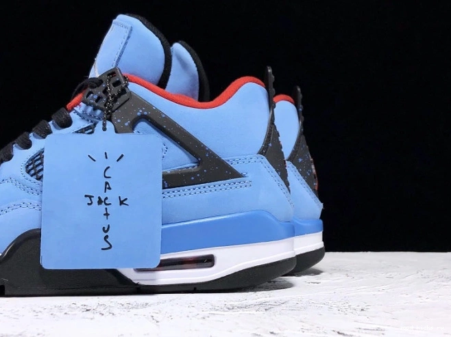 Air Jack Travis Cactus Scott Jordan 308497-406 4 x 0816